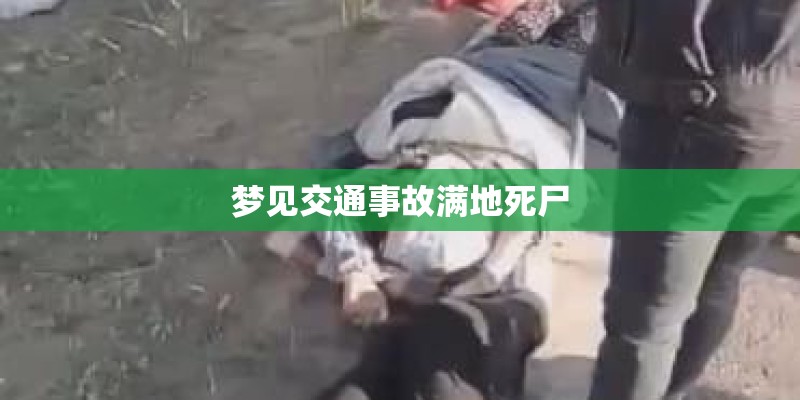 梦见交通事故满地死尸