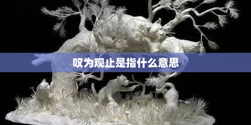 叹为观止是指什么意思