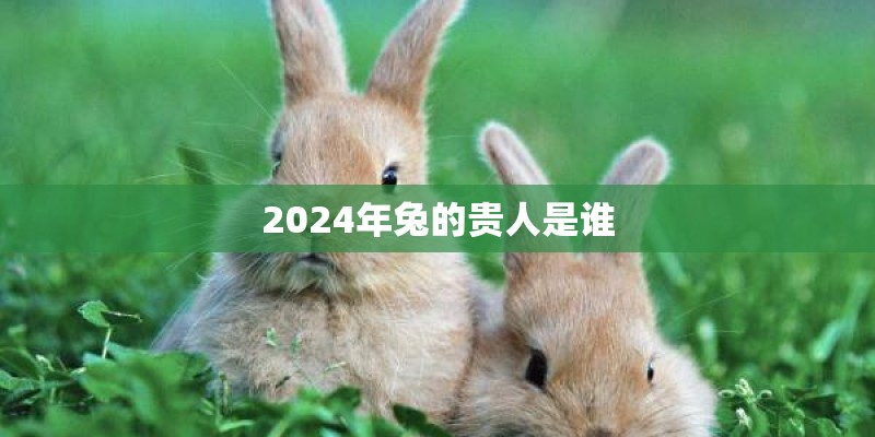 2024年兔的贵人是谁