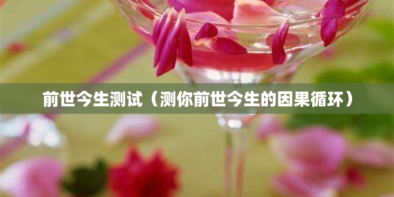 前世今生测试（测你前世今生的因果循环）