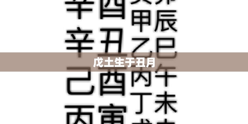 戊土生于丑月