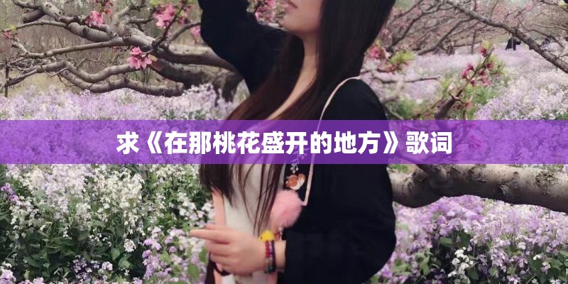 求《在那桃花盛开的地方》歌词