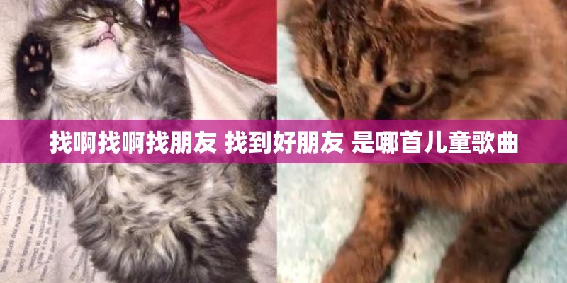 找啊找啊找朋友 找到好朋友 是哪首儿童歌曲