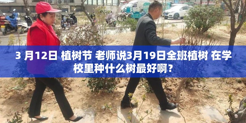 好听的经典老歌