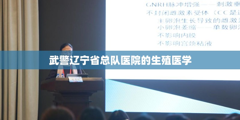 萱草花的歌词