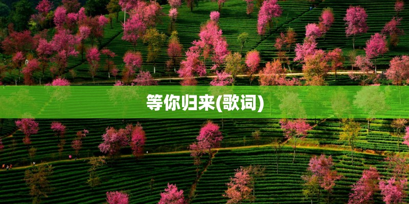 等你归来(歌词)
