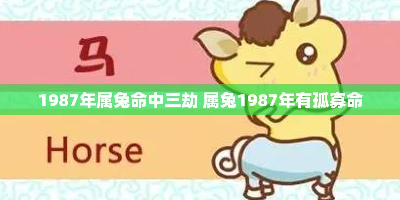 1987年属兔命中三劫 属兔1987年有孤寡命