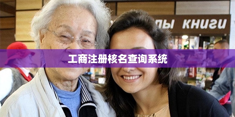 工商注册核名查询系统 工商注册核名查询系统