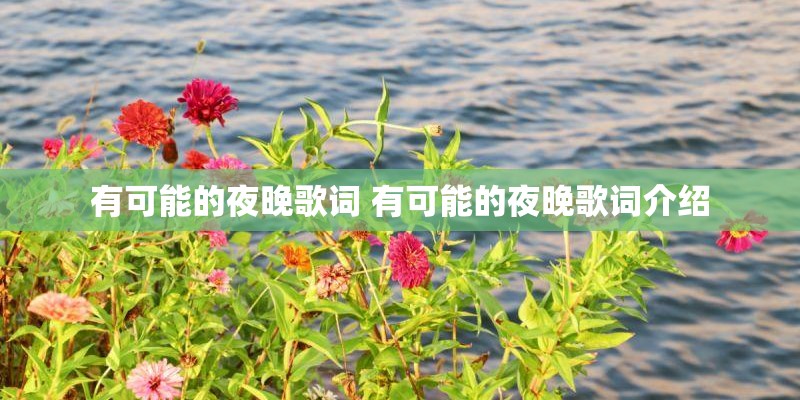 有可能的夜晚歌词 有可能的夜晚歌词介绍