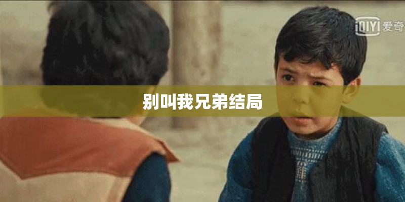 别叫我兄弟结局