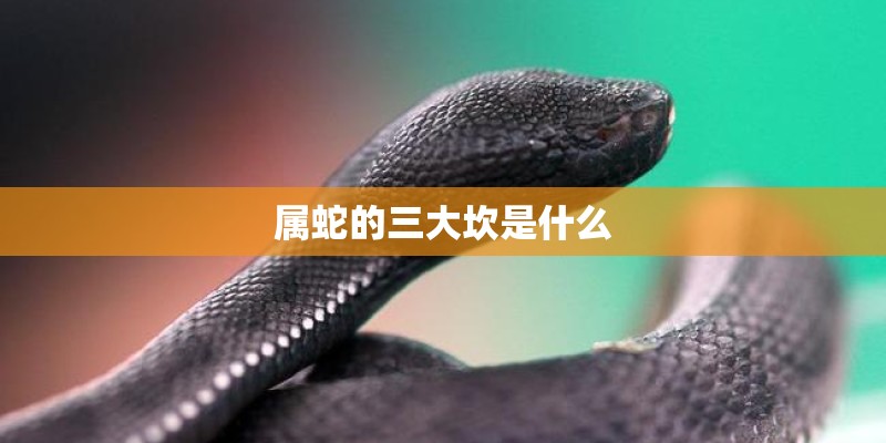 属蛇的三大坎是什么