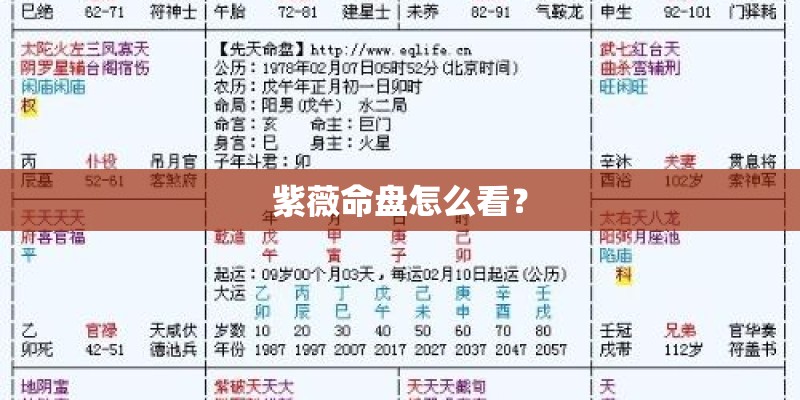 紫薇命盘怎么看？