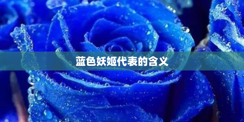蓝色妖姬代表的含义