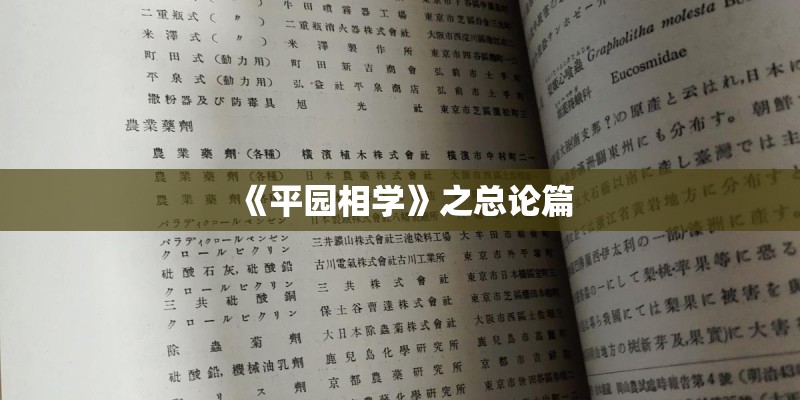 《平园相学》之总论篇 《平园相学》之总论篇