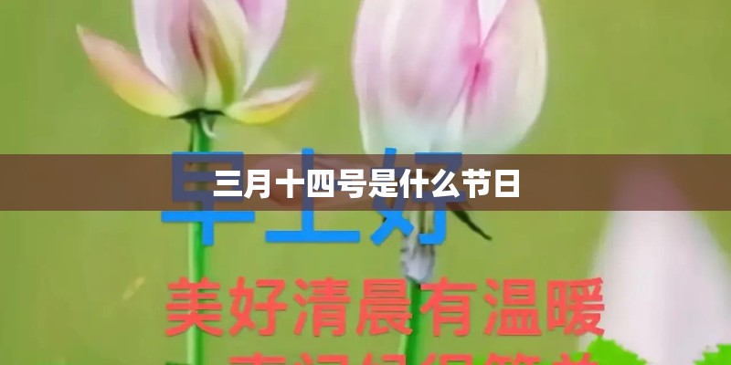九个最准怀女孩征兆
