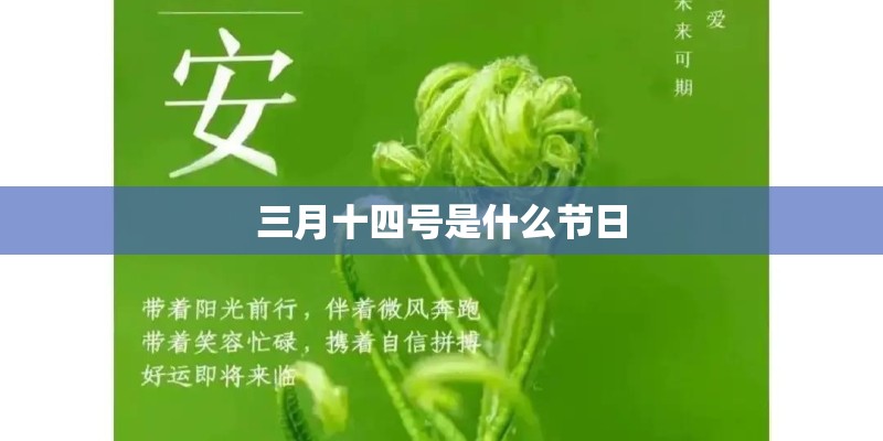 三月十四号是什么节日