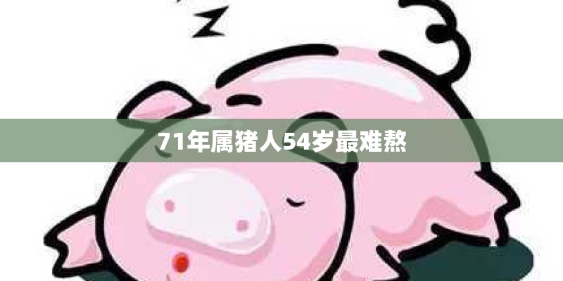 71年属猪人54岁最难熬