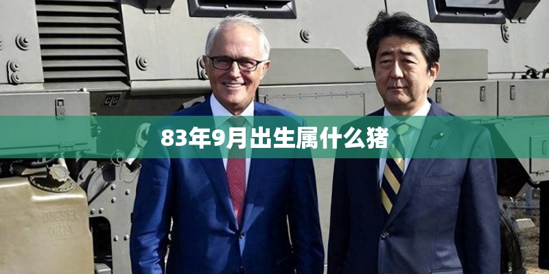 83年9月出生属什么猪