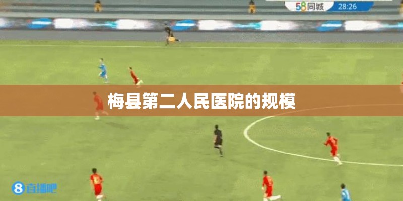 36种命格查询表