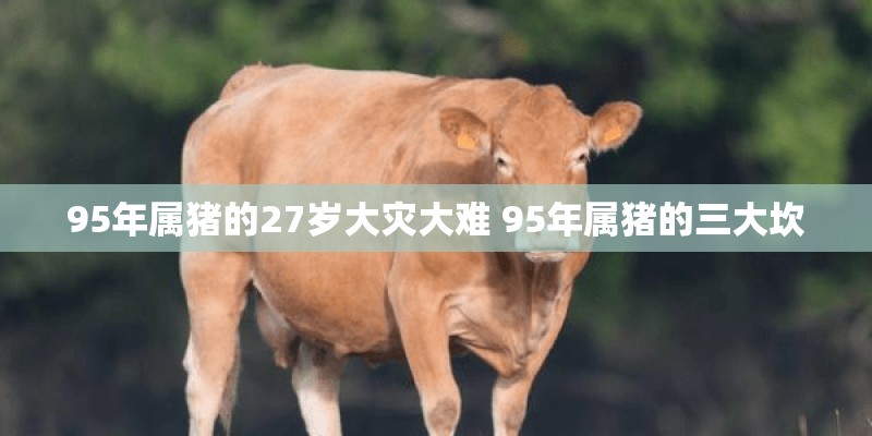 12月里个有什么节日,1到12月全部的