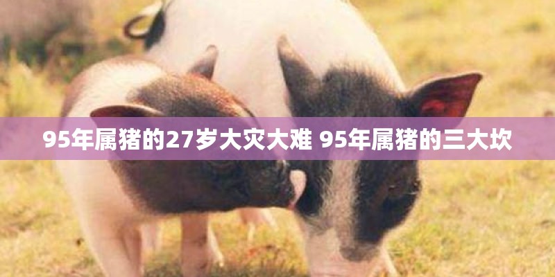 95年属猪的27岁大灾大难 95年属猪的三大坎