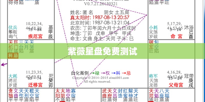 紫薇星盘免费测试