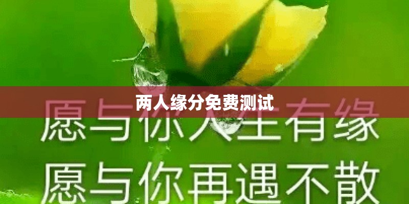 两人缘分免费测试