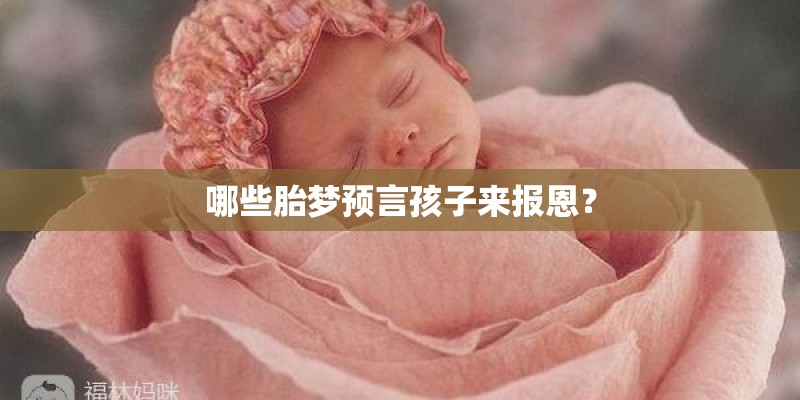 哪些胎梦预言孩子来报恩？