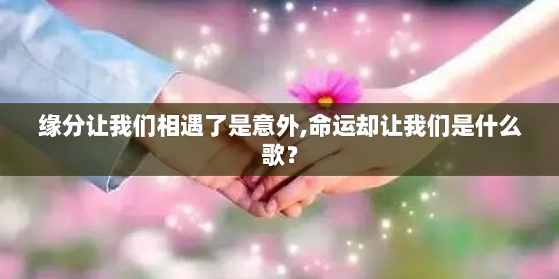 缘分让我们相遇了是意外,命运却让我们是什么歌？